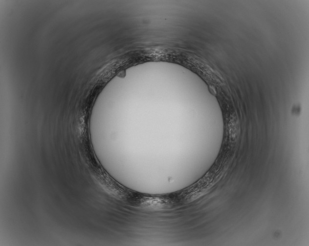 X0000097750611200803281612