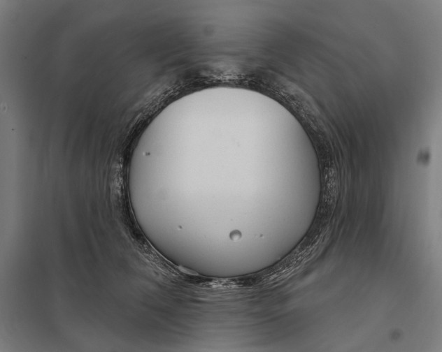 X0000097750612200803281612