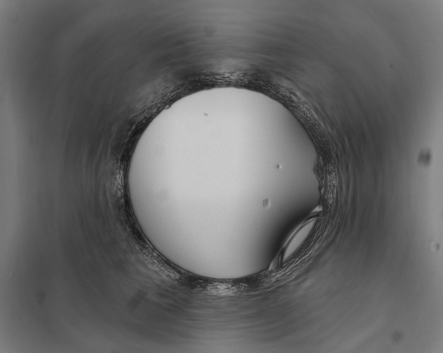 X0000097750613200803281612