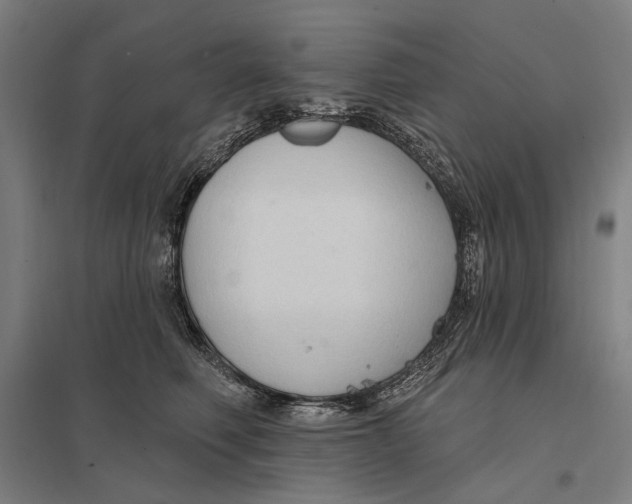 X0000097750614200803281612