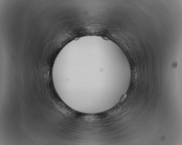 X0000097750615200803281612