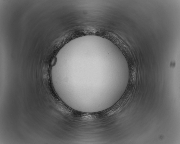 X0000097750616200803281612