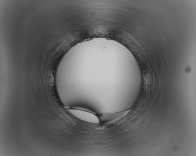 X0000097750617200803281612