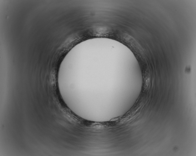 X0000097750620200803281612