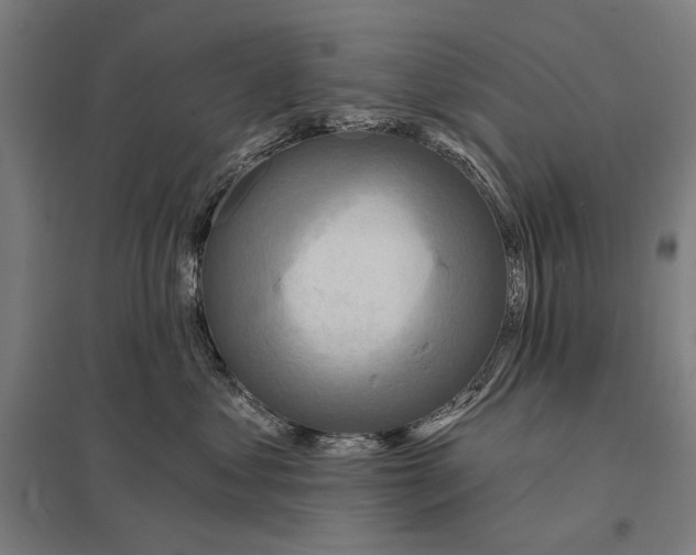 X0000097750621200803281612