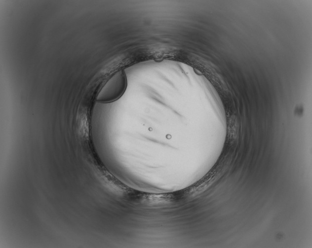 X0000097750622200803281612