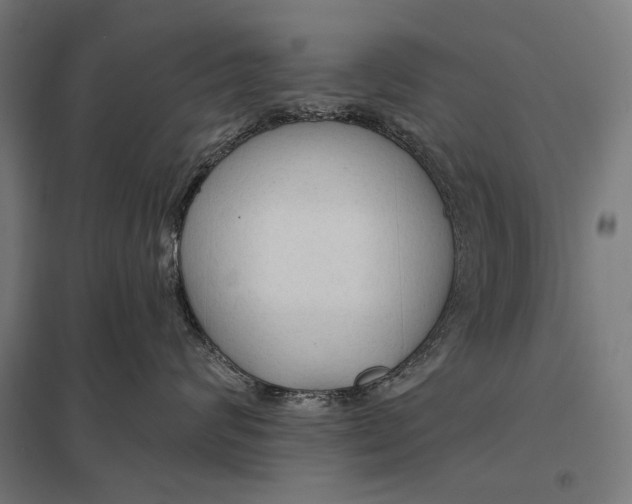 X0000097750624200803281612