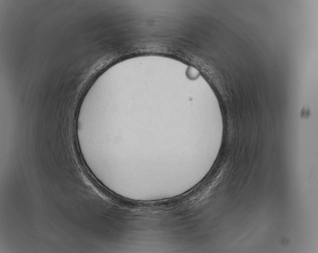 X0000097750625200803281611