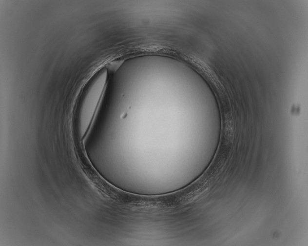 X0000097750626200803281611