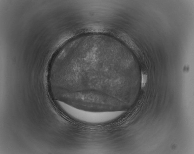 X0000097750627200803281611