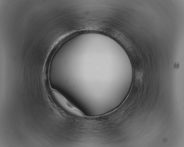 X0000097750628200803281611