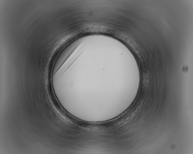 X0000097750629200803281611