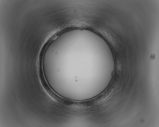 X0000097750630200803281611