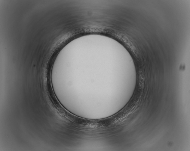 X0000097750631200803281611