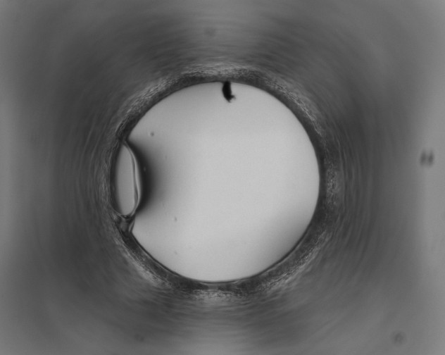 X0000097750633200803281611