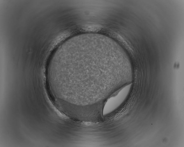 X0000097750634200803281611