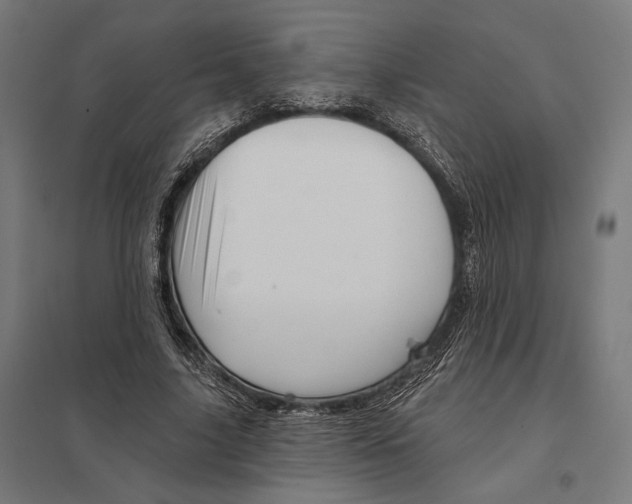 X0000097750635200803281611