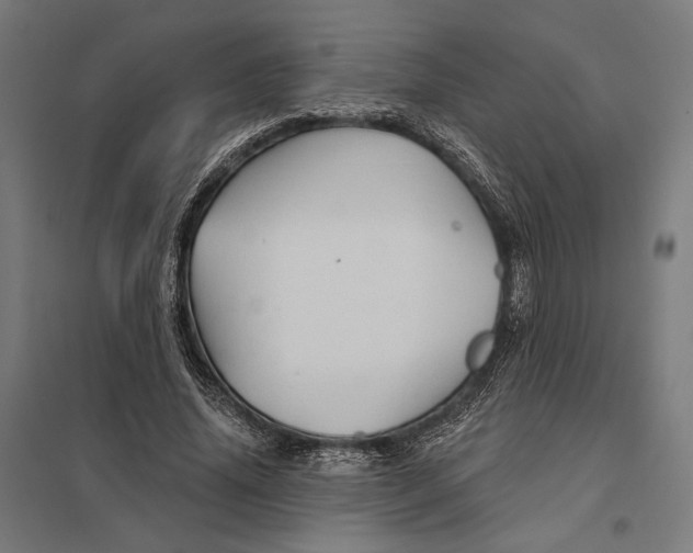 X0000097750636200803281611