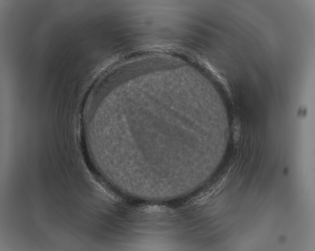 X0000097750637200803281611