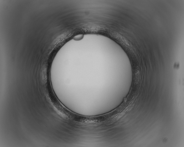 X0000097750638200803281611