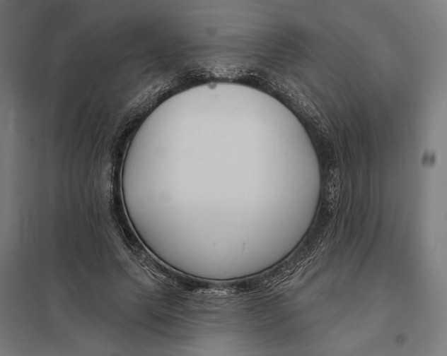 X0000097750639200803281611