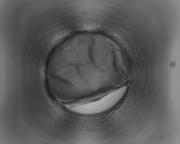 X0000097750640200803281611