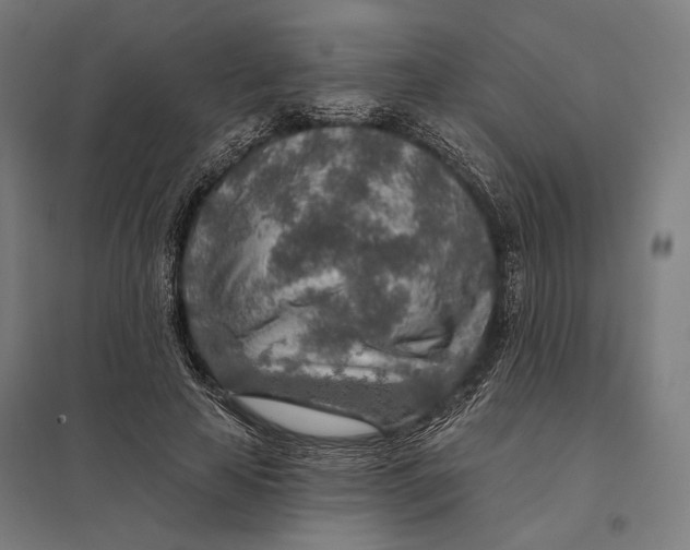 X0000097750641200803281611