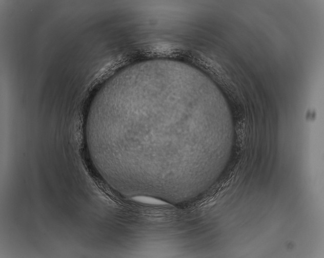 X0000097750642200803281611