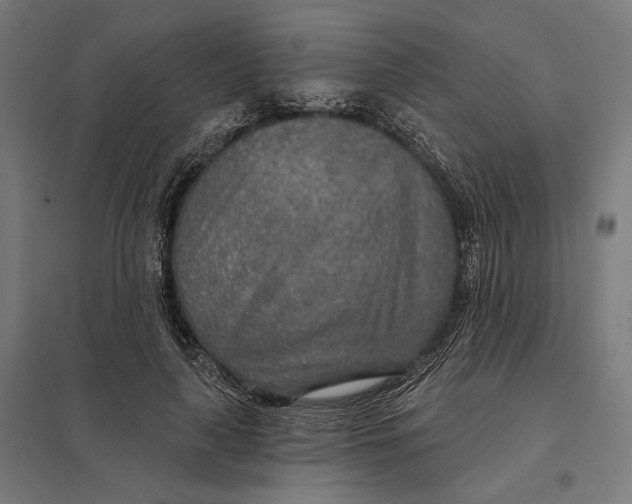 X0000097750643200803281611