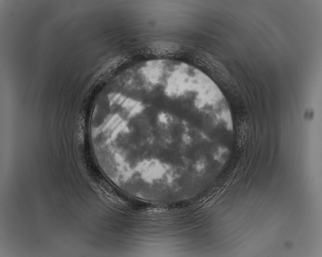 X0000097750644200803281611