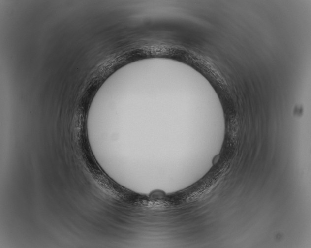 X0000097750645200803281611