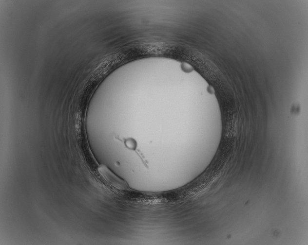 X0000097750646200803281611