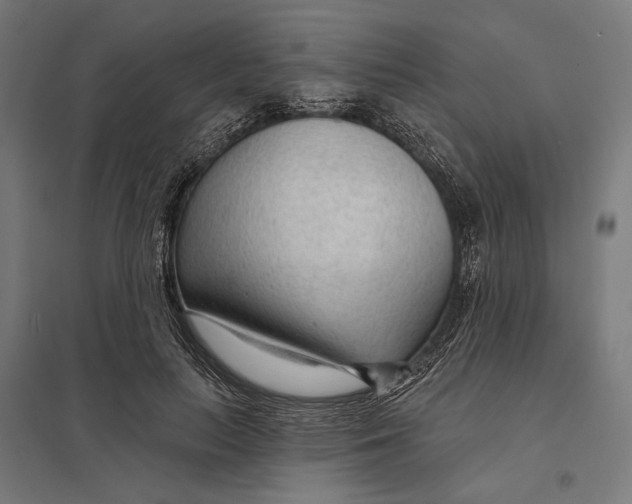 X0000097750647200803281611