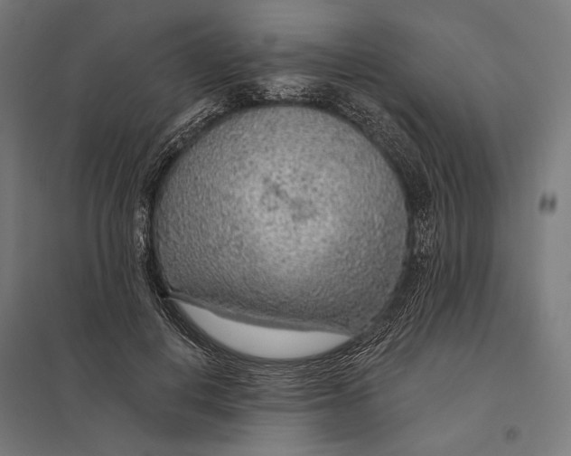 X0000097750648200803281611