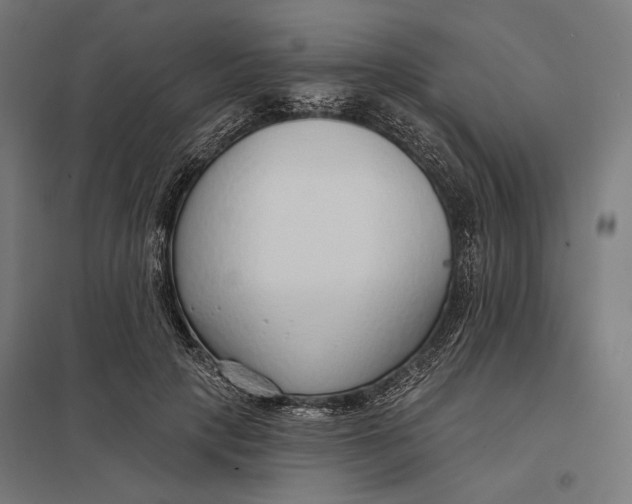 X0000097750649200803281611