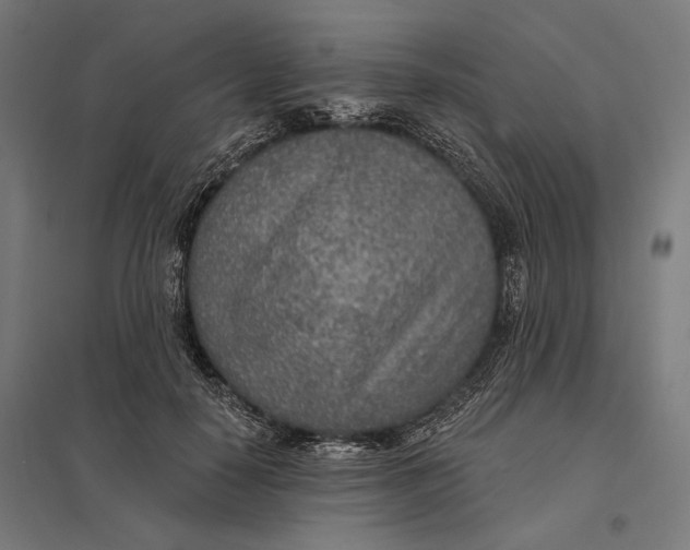 X0000097750650200803281611