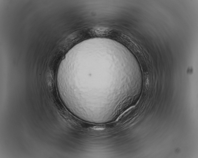 X0000097750651200803281611