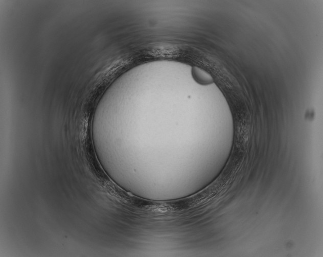 X0000097750652200803281611