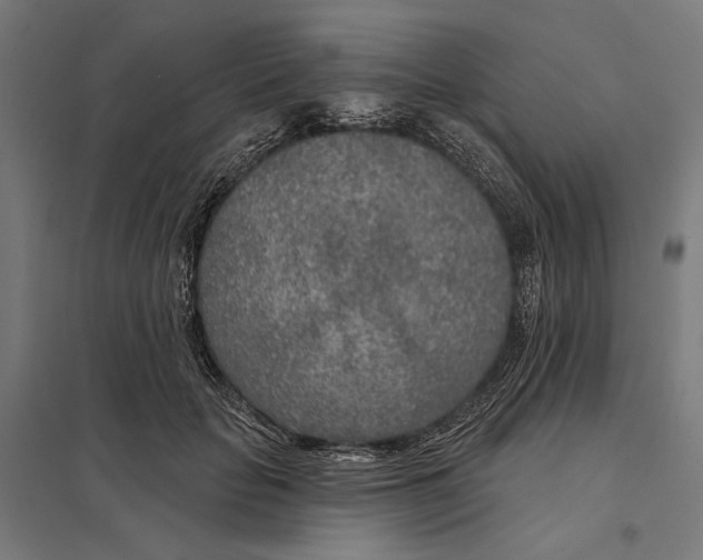 X0000097750653200803281611