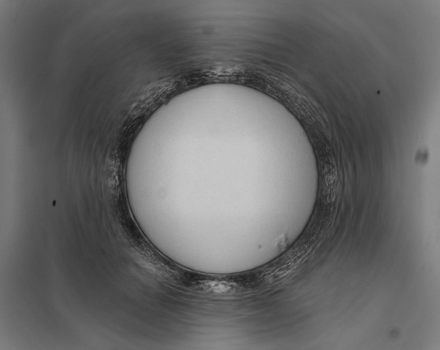 X0000097750654200803281611