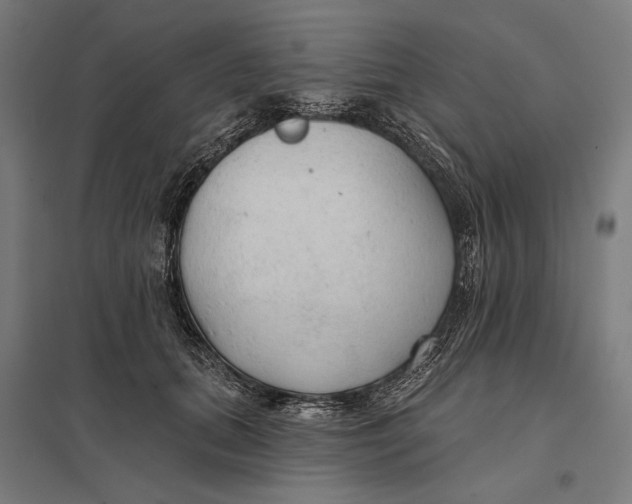 X0000097750655200803281611