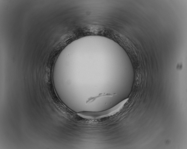 X0000097750656200803281611