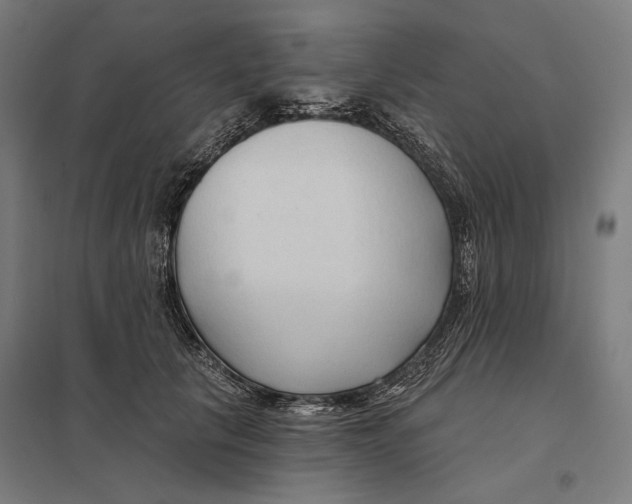 X0000097750657200803281611