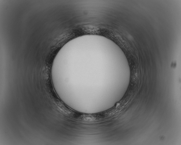 X0000097750658200803281611