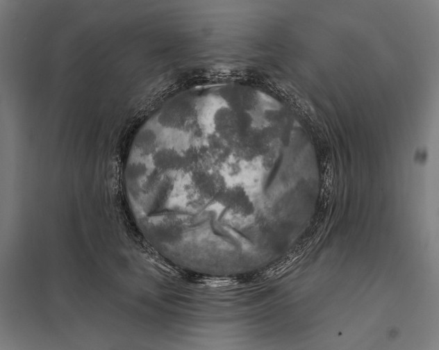 X0000097750659200803281611