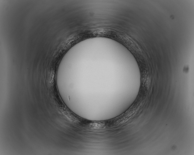 X0000097750660200803281611