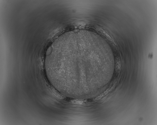 X0000097750661200803281611