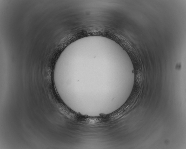 X0000097750662200803281611