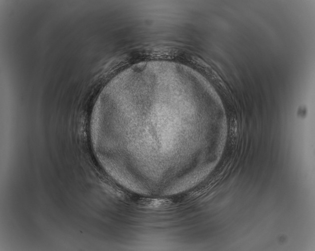 X0000097750663200803281611