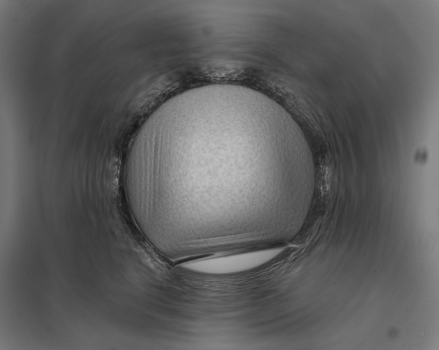 X0000097750664200803281611